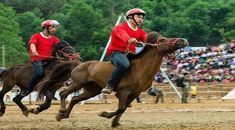 Đua Ngựa H3BET: Review A-Z, Mẹo Chơi Thắng Lớn!